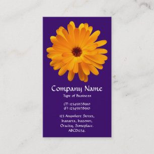 Carte De Visite Marigold orange - Violet profond
