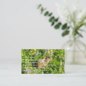 Carte De Visite Marmot dans le Mont Rainier Fleurs sauvages (Debout devant)