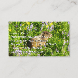 Carte De Visite Marmotte dans les fleurs sauvages du mont Rainier