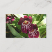 Carte De Visite Maroon Orchids II (Dos)