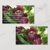 Carte De Visite Maroon Orchids II (Devant / Derrière)