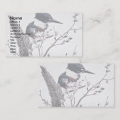 Carte De Visite Martin-pêcheur ceinturé (femelle) (Devant / Derrière)