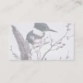 Carte De Visite Martin-pêcheur ceinturé (femelle) (Dos)