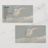 Carte De Visite Martin-pêcheur de malachite (Devant / Derrière)