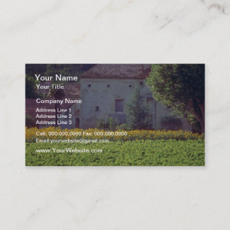 Carte De Visite Mas provençal jaune près de Carpentras dans le cha