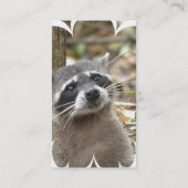 Carte de visite masqué de raton laveur (Dos)