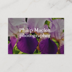 Carte De Visite Matte standard d'iris de photo pourpre de fleur
