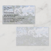 Carte De Visite Melaleuca dans le secteur de marais (Devant / Derrière)