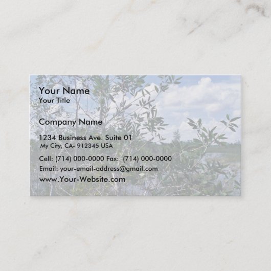 Carte De Visite Melaleuca dans le secteur de marais (Devant)