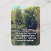 Carte De Visite Memorial Photo Keepsaké Lake Pond Park Ducks Water (Devant)