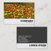 Carte De Visite Mer des Tulipes (Devant / Derrière)