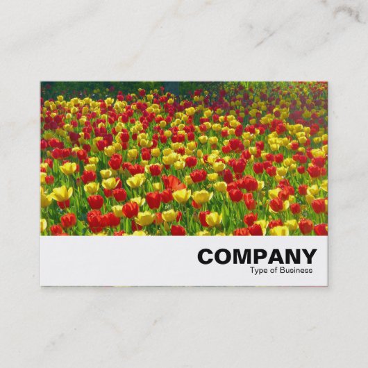 Carte De Visite Mer des Tulipes (Devant)