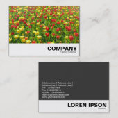 Carte De Visite Mer des Tulipes II (Devant / Derrière)