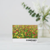 Carte De Visite Mer des Tulipes II (Debout devant)