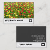 Carte De Visite Mer des Tulipes II (Devant / Derrière)