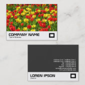 Carte De Visite Mer des Tulipes III (Devant / Derrière)