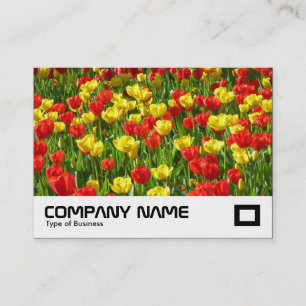 Carte De Visite Mer des Tulipes III