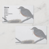 Carte De Visite Merle américain construisant un nid (Devant / Derrière)