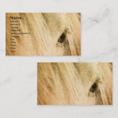 Carte De Visite Messy Mane (Devant / Derrière)