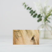 Carte De Visite Messy Mane (Debout devant)