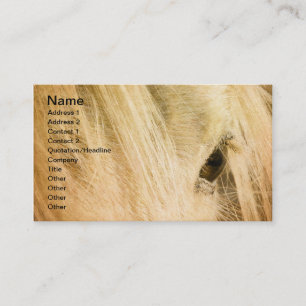 Carte De Visite Messy Mane