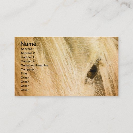 Carte De Visite Messy Mane (Devant)