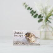 Carte De Visite Météo Prévision drôle Personnalisable (Debout devant)