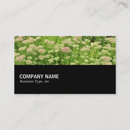 Carte De Visite Mi-chemin 0110 - Automne Bleu (Devant)