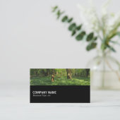 Carte De Visite Mi-chemin 0145 - Printemps dans les bois (Debout devant)
