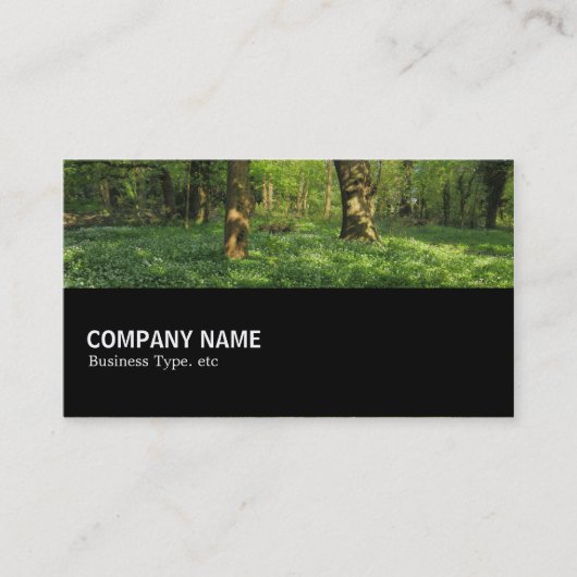 Carte De Visite Mi-chemin 0145 - Printemps dans les bois (Devant)