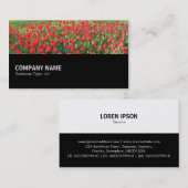 Carte De Visite Mi-chemin 0153 - Lit de Tulipes rouges 01 (Devant / Derrière)