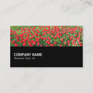 Carte De Visite Mi-chemin 0153 - Lit de Tulipes rouges 01