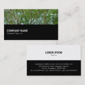 Carte De Visite Mi-chemin 080 - Érable japonais (Devant / Derrière)