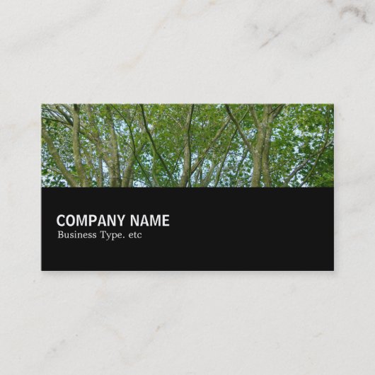 Carte De Visite Mi-chemin 080 - Érable japonais (Devant)