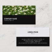 Carte De Visite Mi-chemin - prairie de marais (Devant / Derrière)