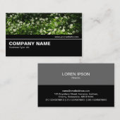 Carte De Visite Mi-chemin V2 026 - Ail sauvage (Devant / Derrière)