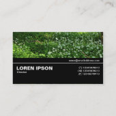 Carte De Visite Mi-chemin V3 037 - Fleurs de bois (Dos)