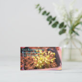 Carte De Visite Microgreens (Debout devant)