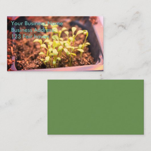 Carte De Visite Microgreens (Devant / Derrière)