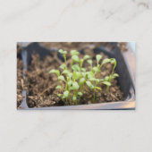 Carte De Visite Microgreens (Devant)