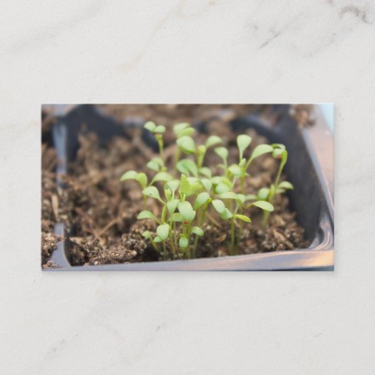 Carte De Visite Microgreens (Devant)