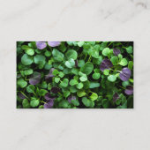 Carte De Visite Microgreens organiques (Dos)