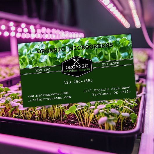 Carte De Visite Microgreens organiques