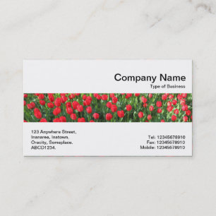 Carte De Visite Middle Band - Lit de Tulipes Rouges 01