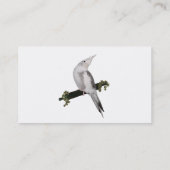 Carte de visite mignon de Cockatiel (Dos)