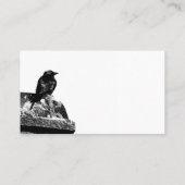 Carte de visite mignon de corneille (Dos)