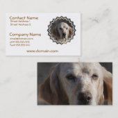 Carte de visite mignon de poseur anglais (Devant / Derrière)