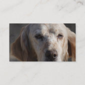 Carte de visite mignon de poseur anglais (Dos)