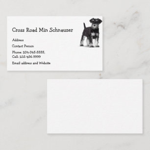 Carte De Visite Min Schnauzer Chien animal animal animal animal an