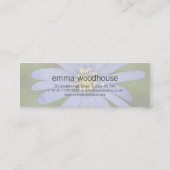 Carte De Visite Mini Anémone Blanda (Dos)